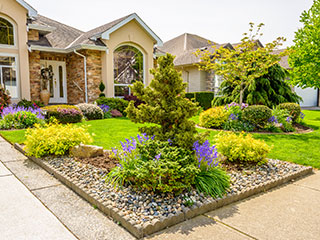 Landscape Installation Camarillo, CA