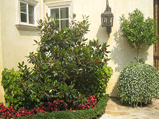 Landscape Services Camarillo, CA